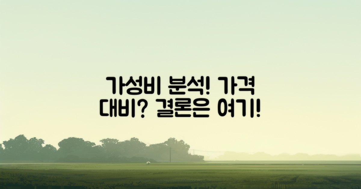 가격 대비 가성비는 어떤가?