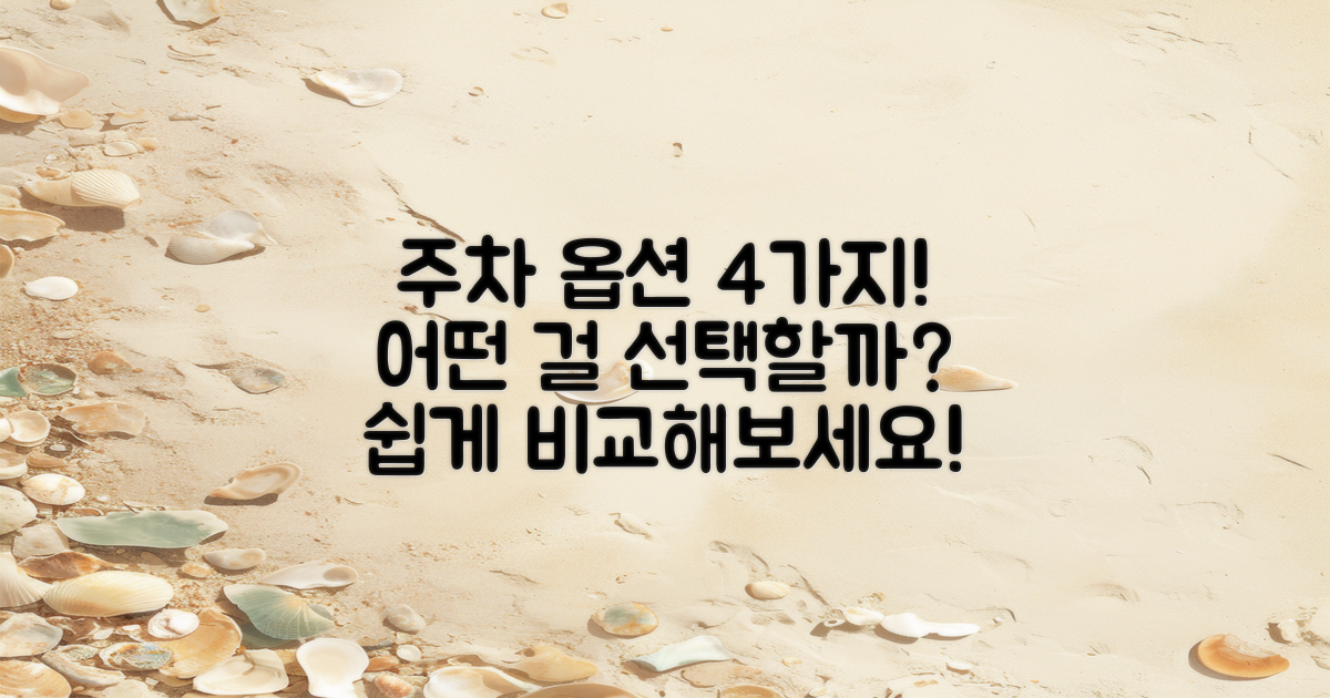 4가지 주차 옵션