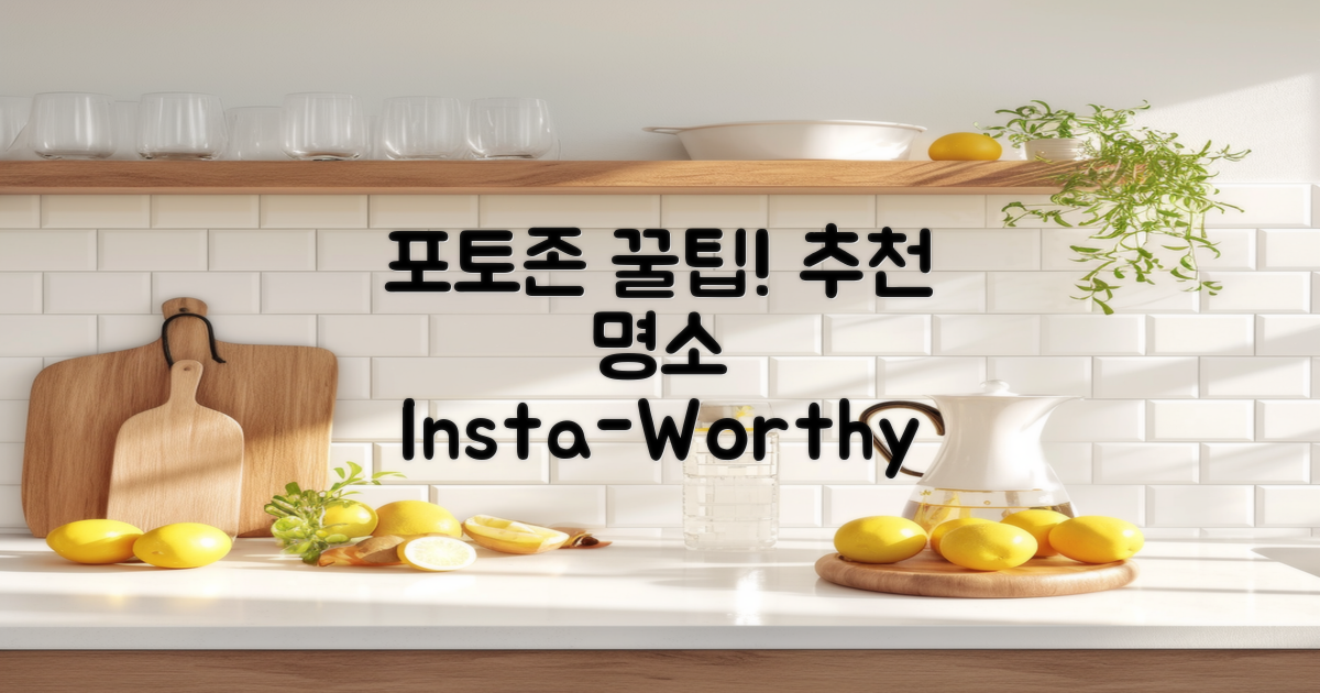 포토존 추천과 꿀팁