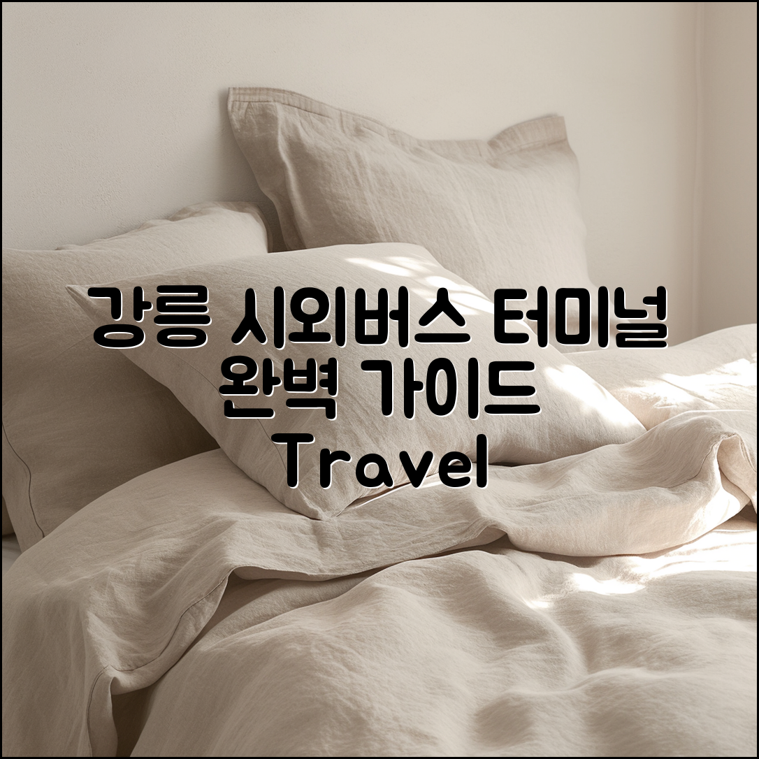 강릉 시외버스 터미널 완벽 가이드