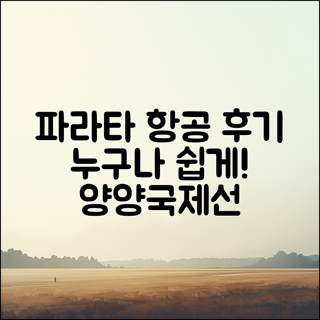 누구나 쉽게 이해하는 파라타 항공 양양국제선 후기