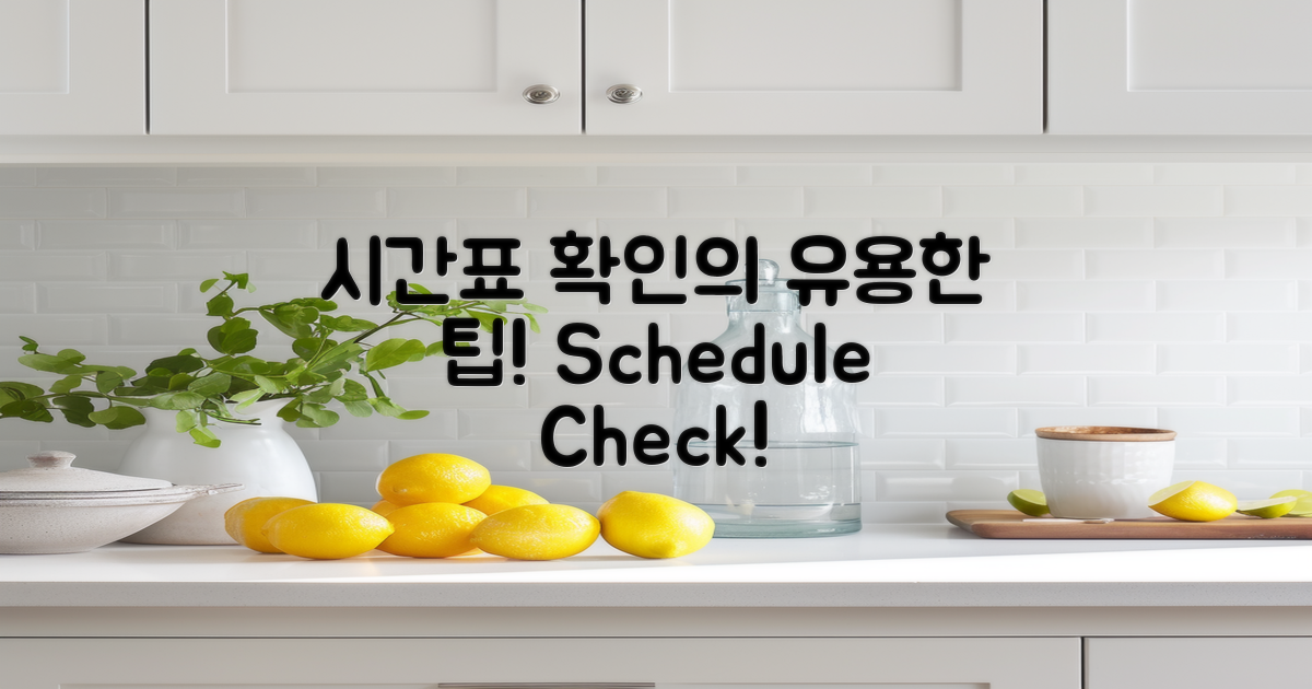 시간표 확인의 유용성