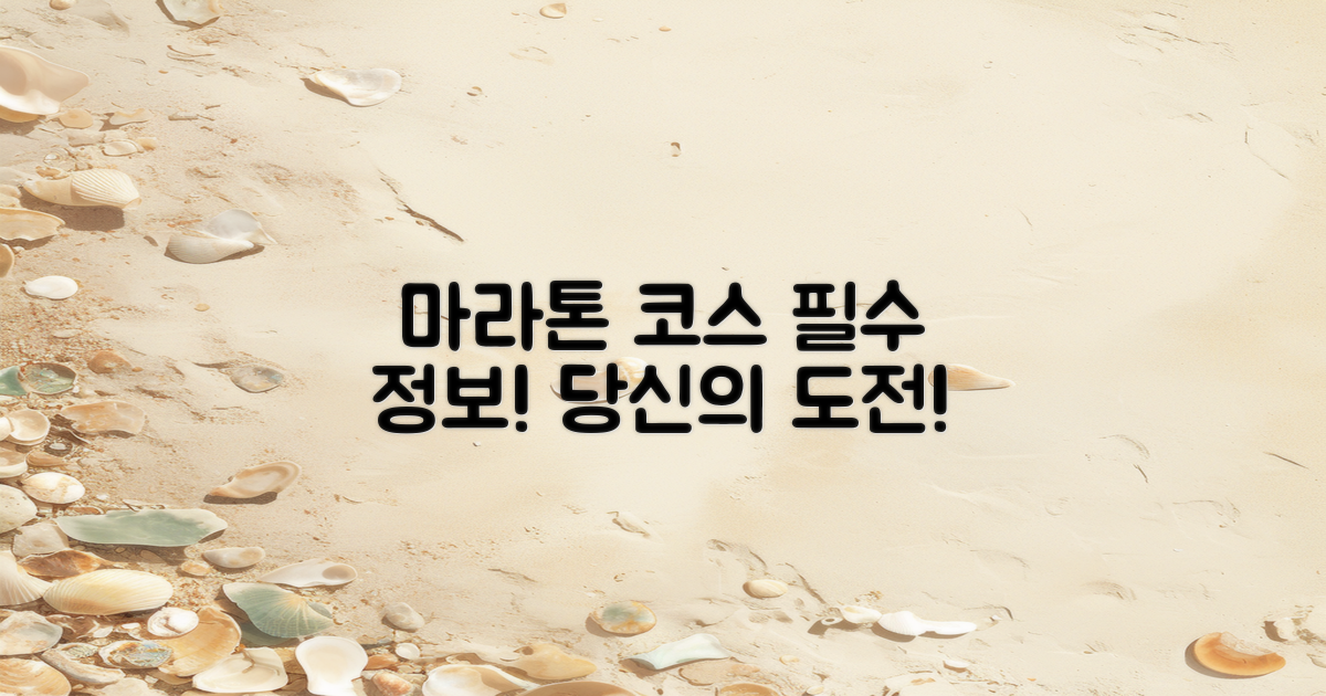 마라톤 코스 정보