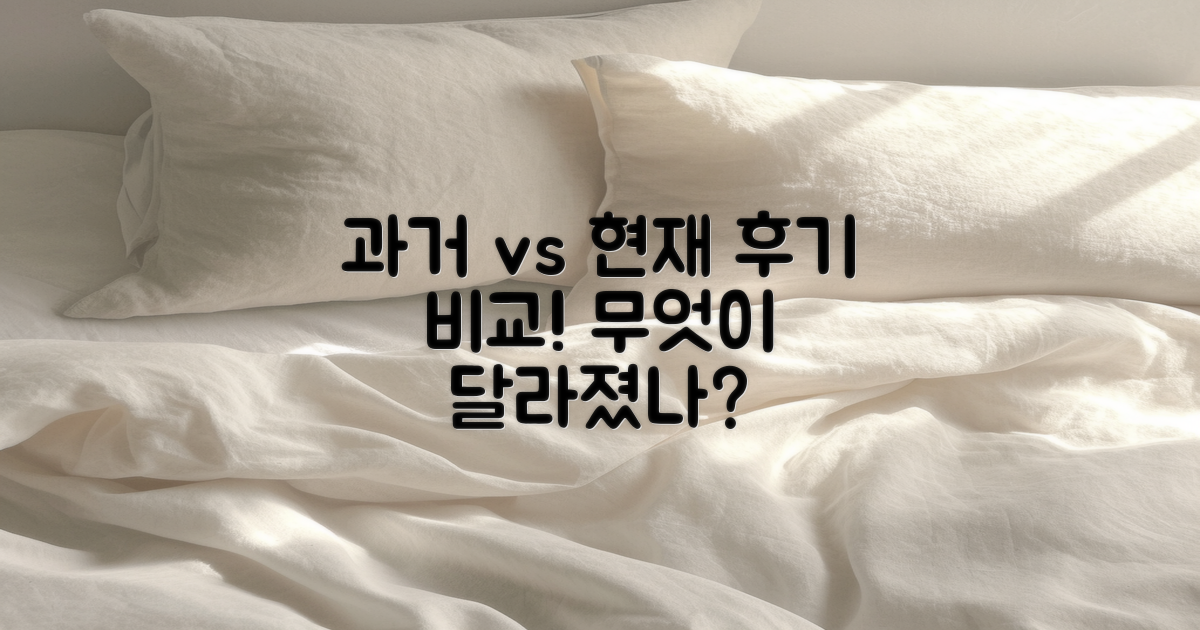 과거와 현재 후기 비교