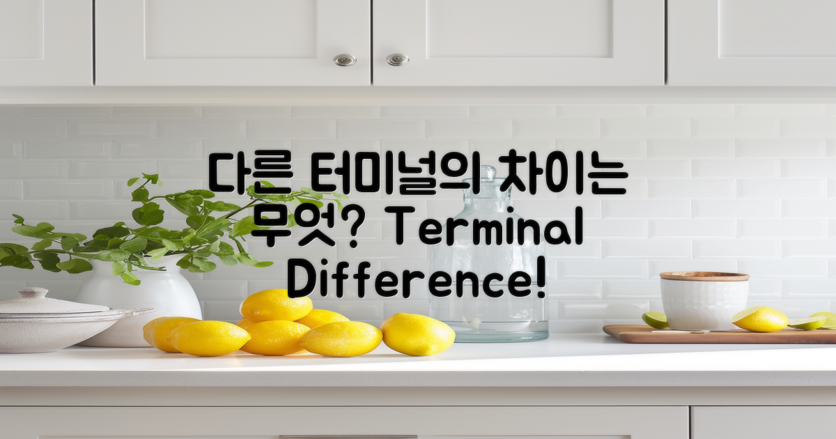 다른 터미널과 차이는?