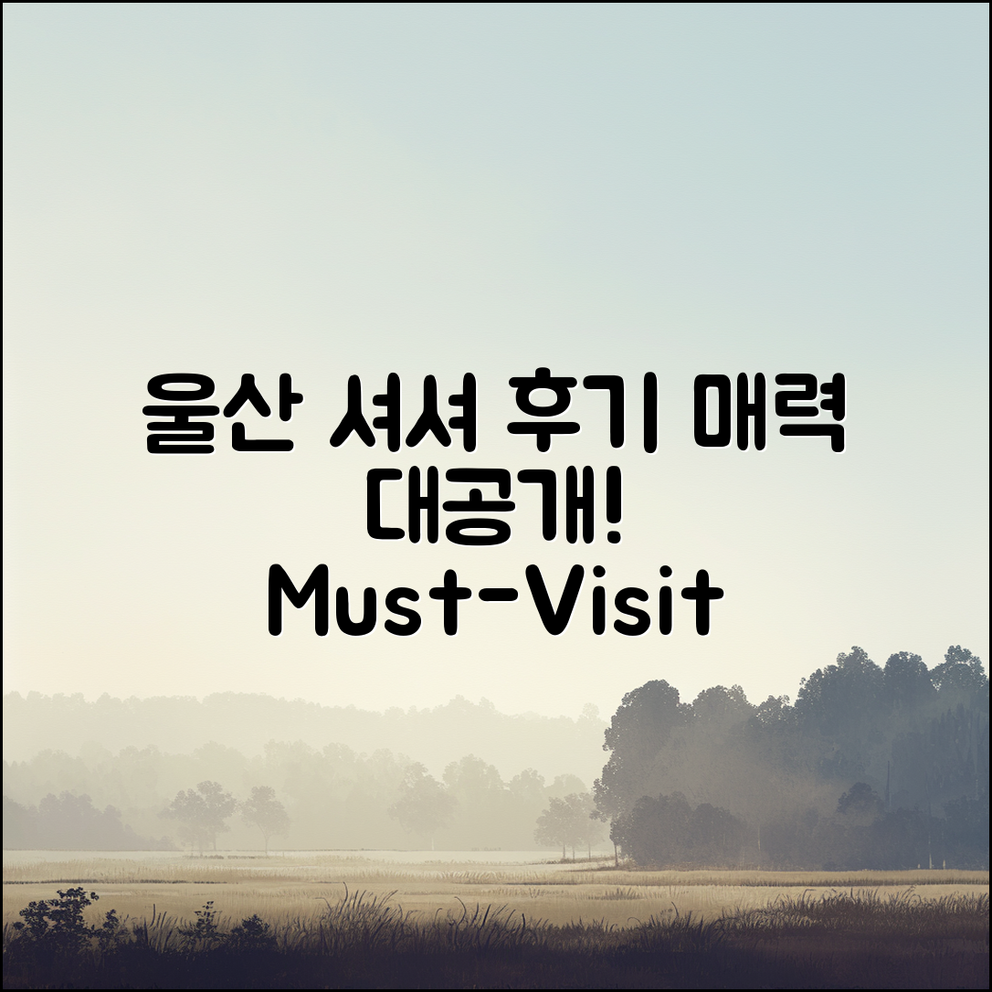 울산 셔셔 후기, 어떤 매력이 있을까요?