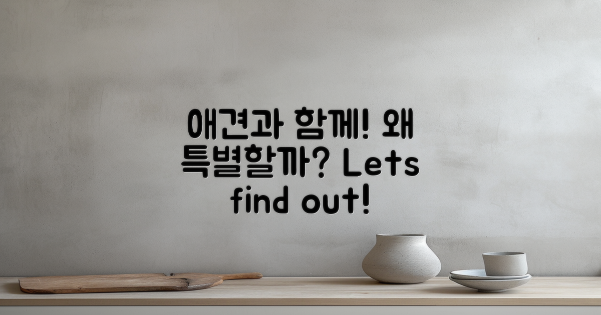 애견과 함께야 왜 특별할까?