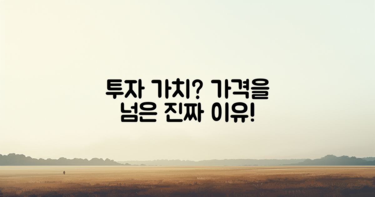 가격 외에 투자할 가치가?