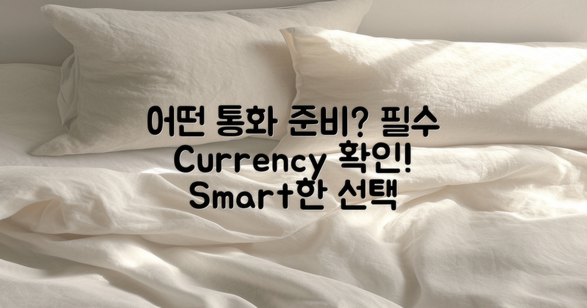 어떤 통화를 준비해야 할까?