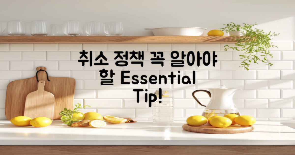 취소 정책 잘 이해하세요