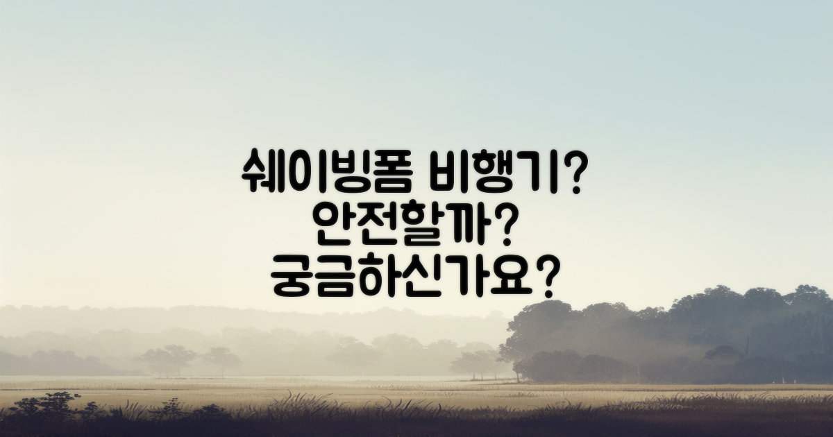 쉐이빙폼 비행기는 안전할까?
