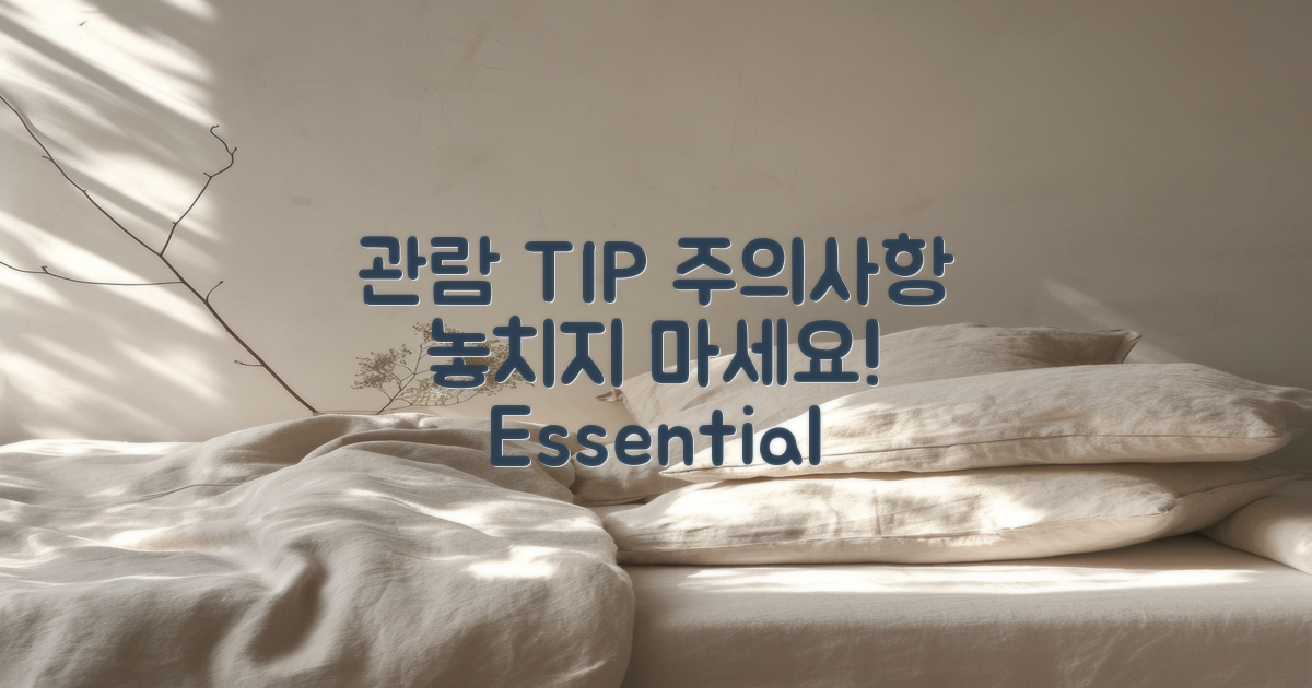 관람 팁과 유의사항