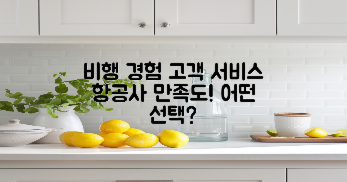 비행 경험 vs 고객 서비스