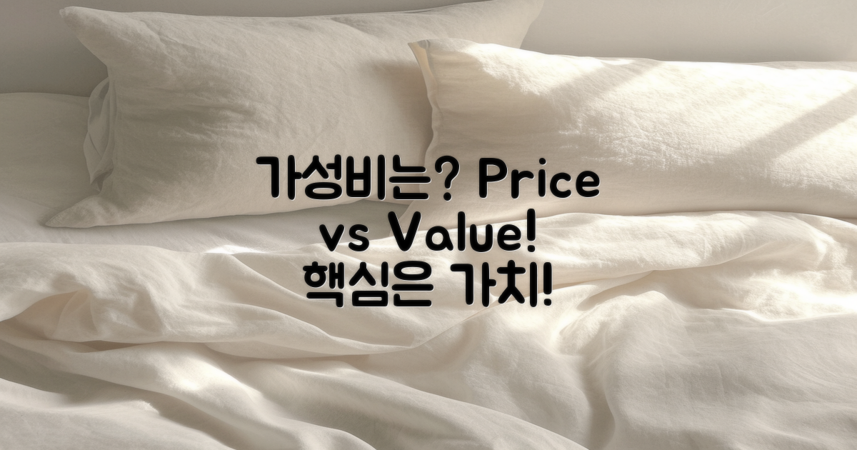 가격 대비 가치는?