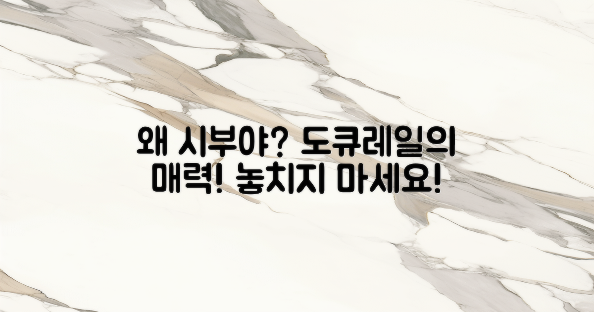 왜 시부야도큐레이일까?