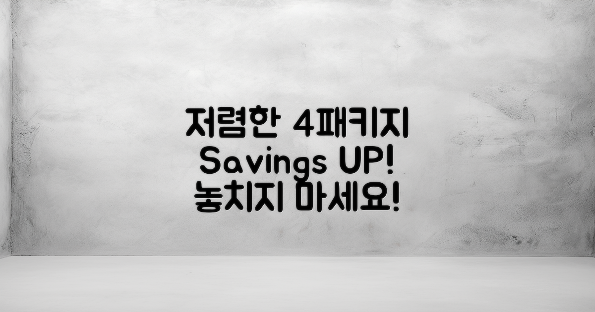 4가지 저렴한 패키지