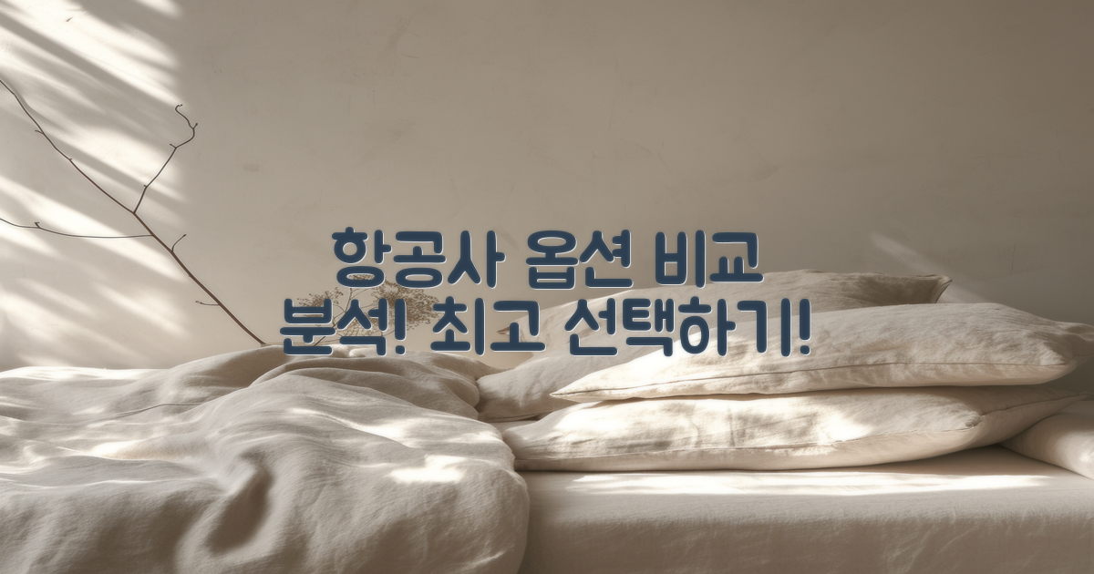 다양한 항공사 옵션 분석