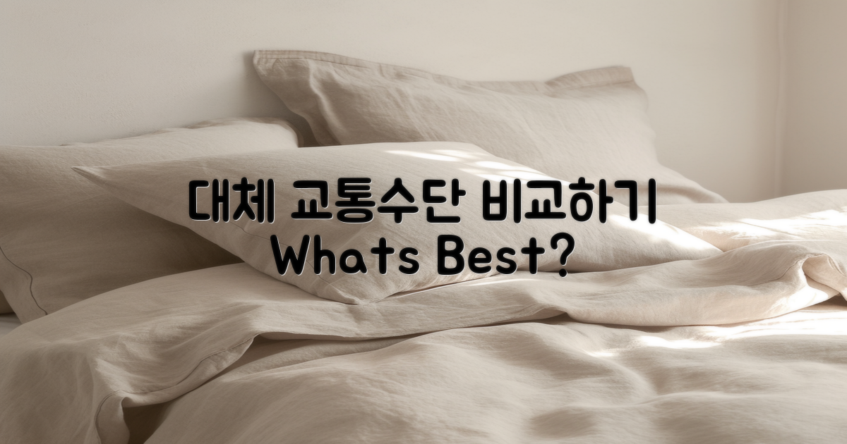 대체 교통수단 비교