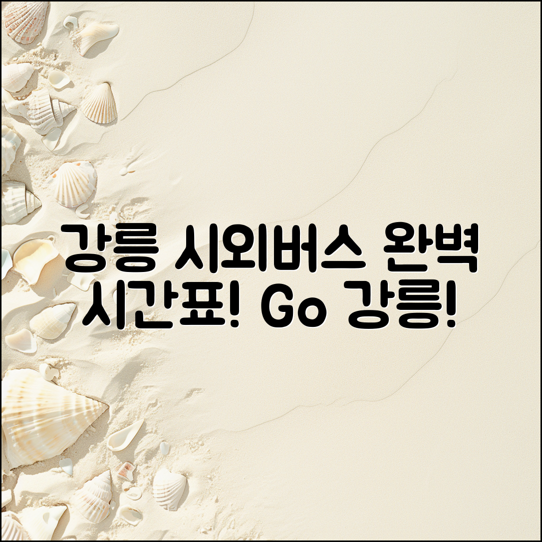 강릉 시외버스 터미널 시간표 완벽 가이드