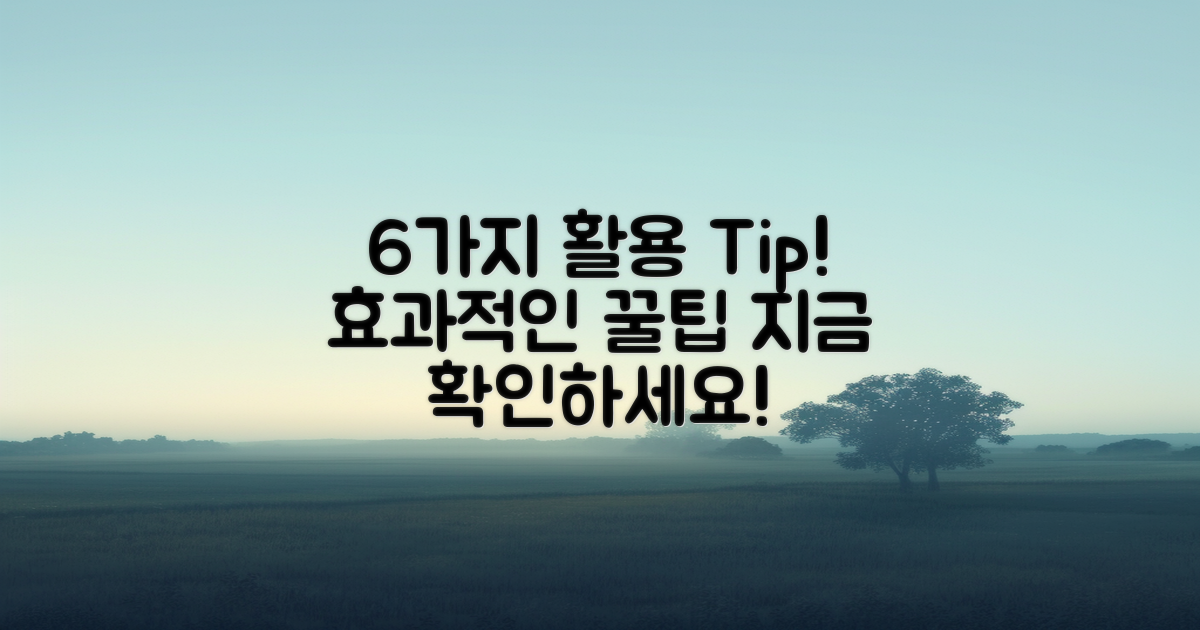 6가지 활용 팁