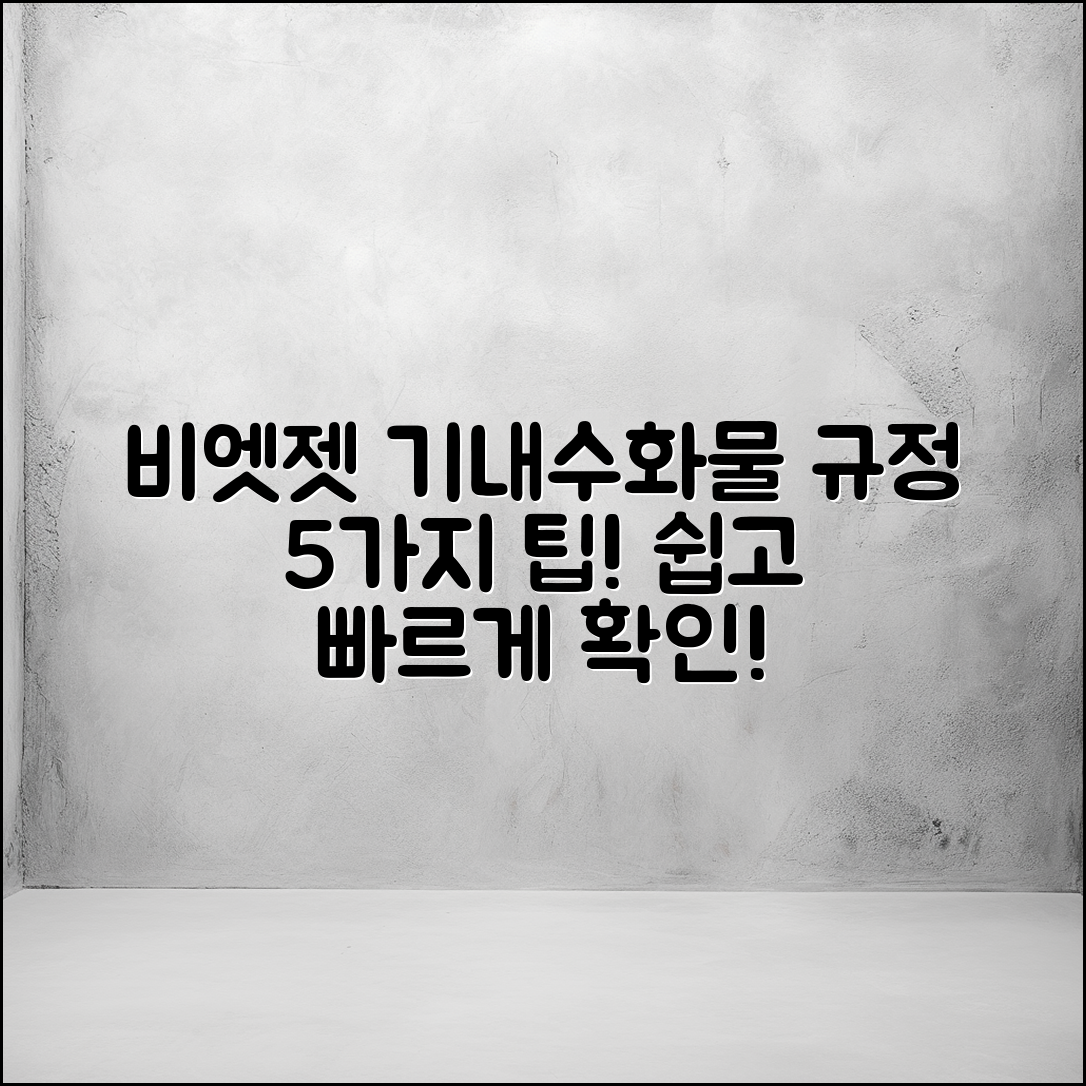 비엣젯 항공 기내수화물규정 5가지 팁