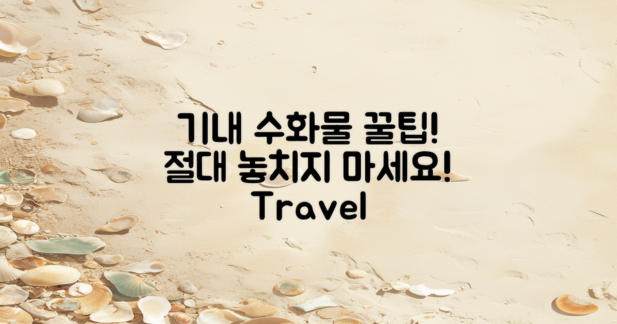 기내 수화물 준비 팁