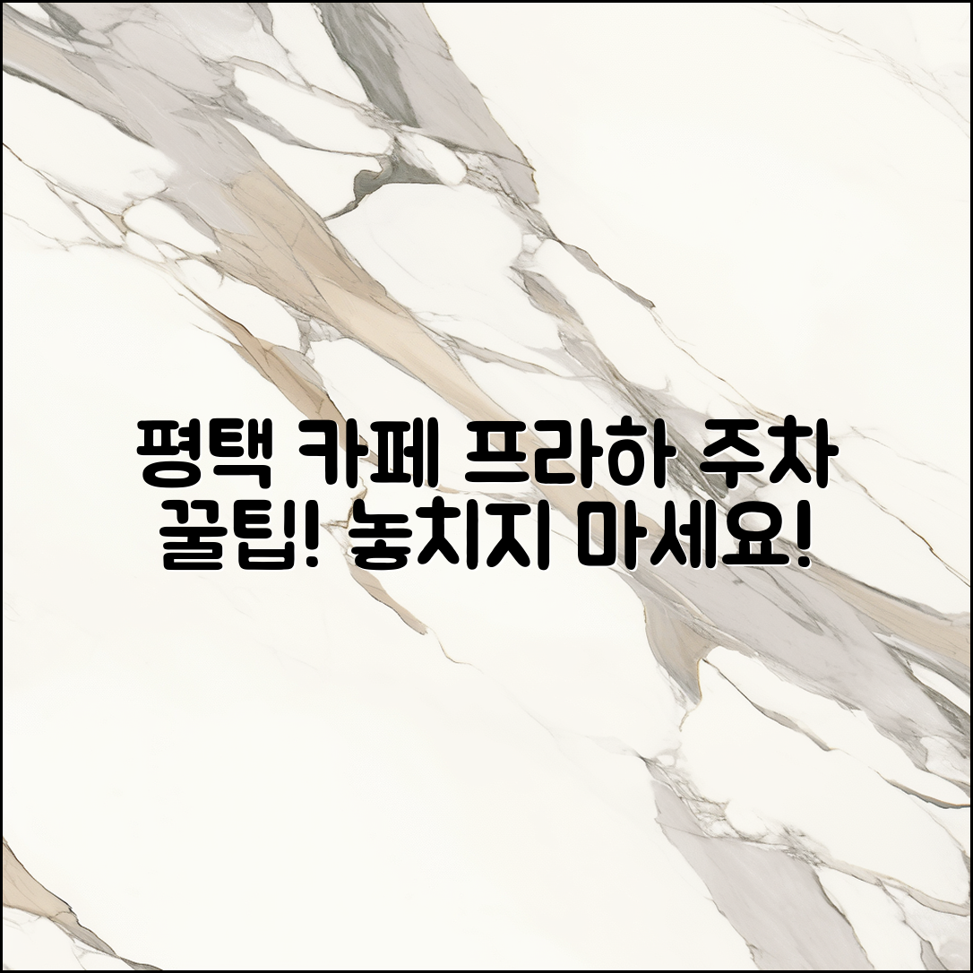 놀라운 평택 카페 프라하 주차 꿀팁!