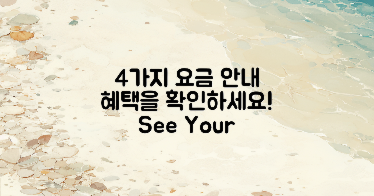 4가지 요금 안내