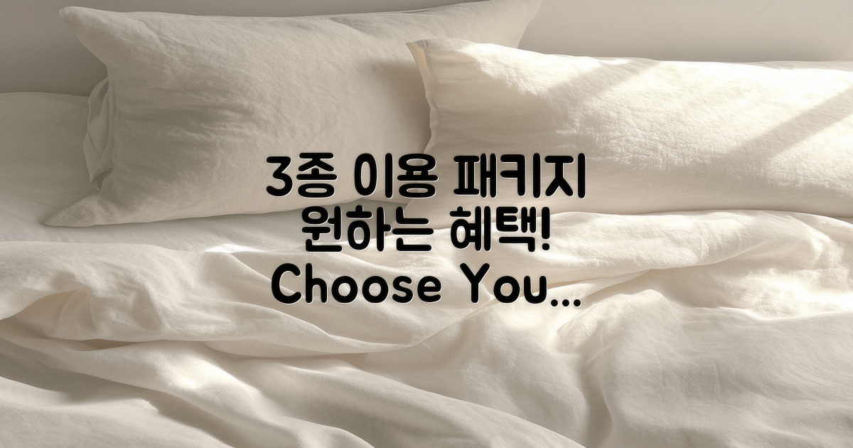 3가지 종류의 이용 패키지