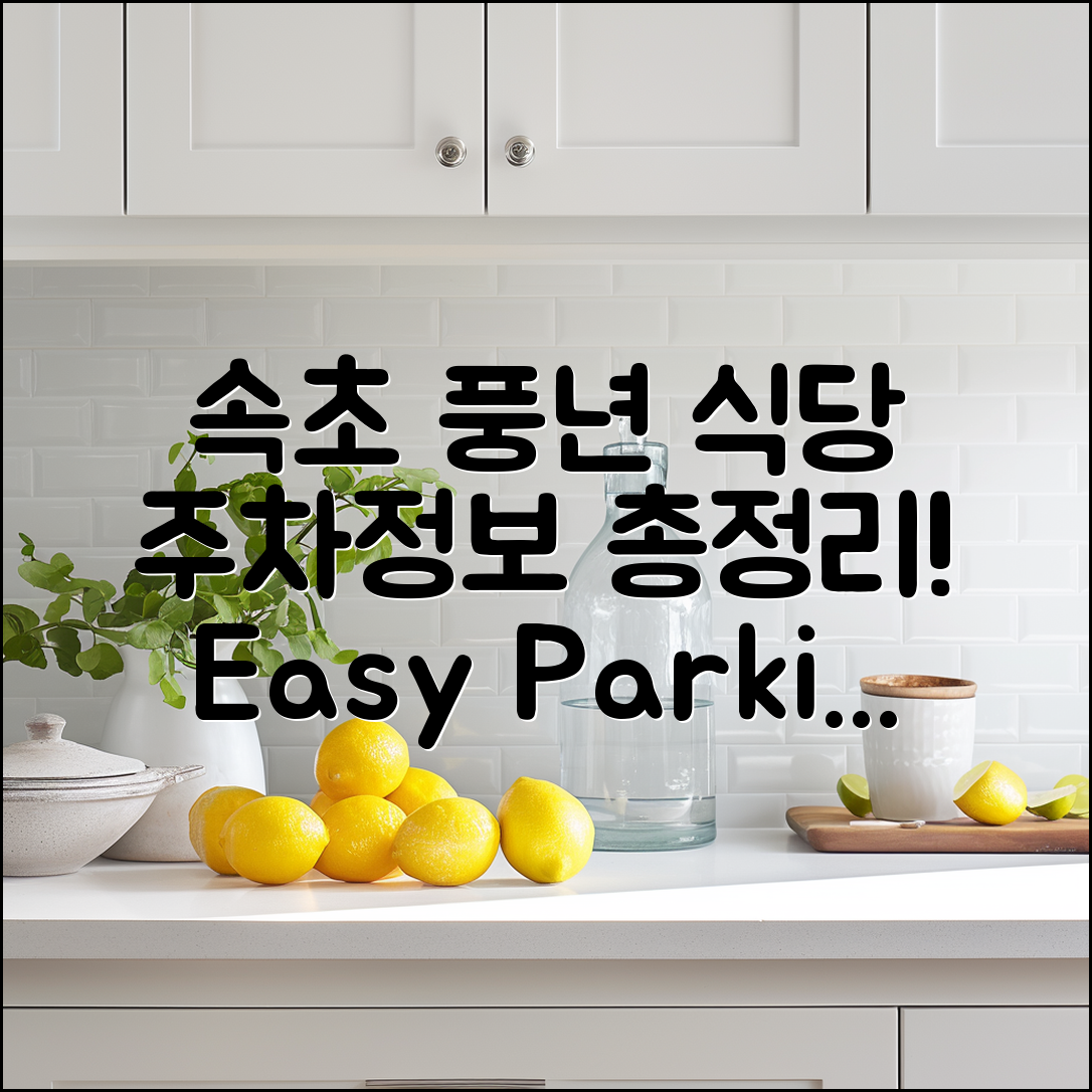 누구나 쉽게 찾는 속초 풍년 식당 주차정보
