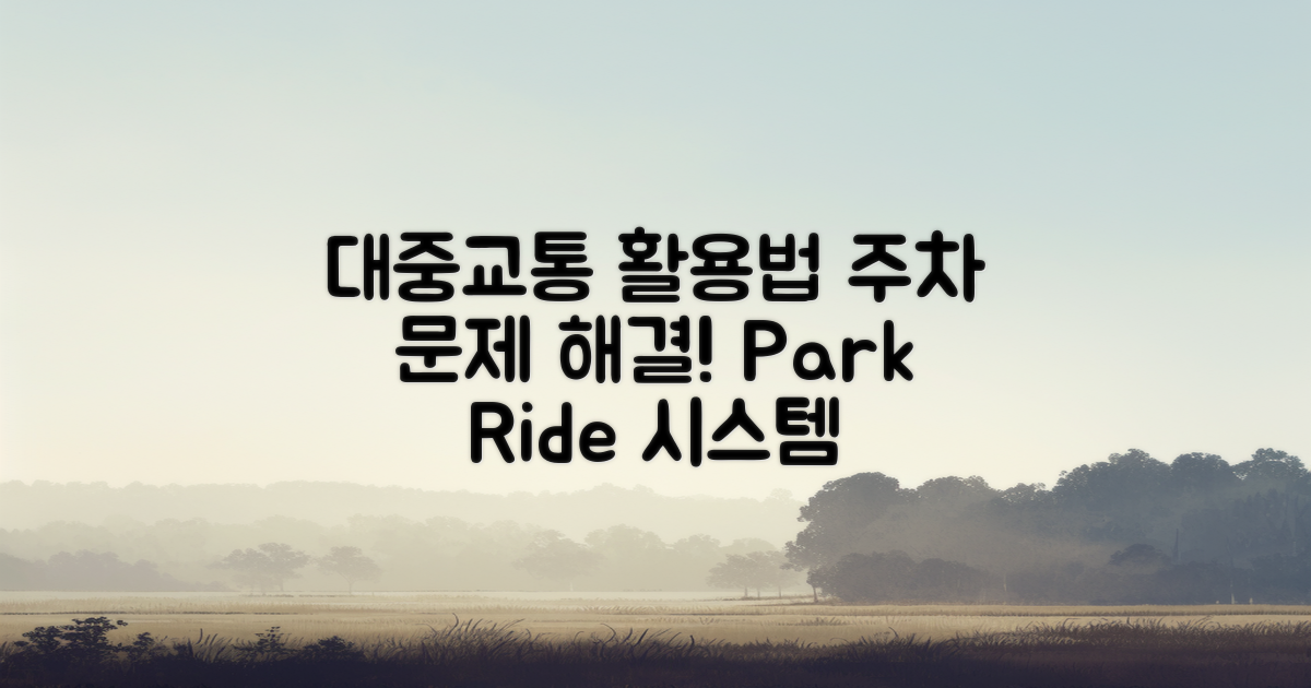 대중교통 활용 시 주차 문제