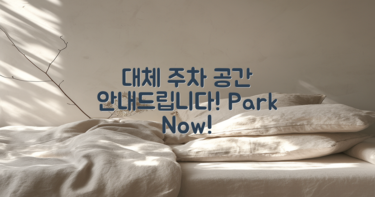 대체 주차 공간 안내