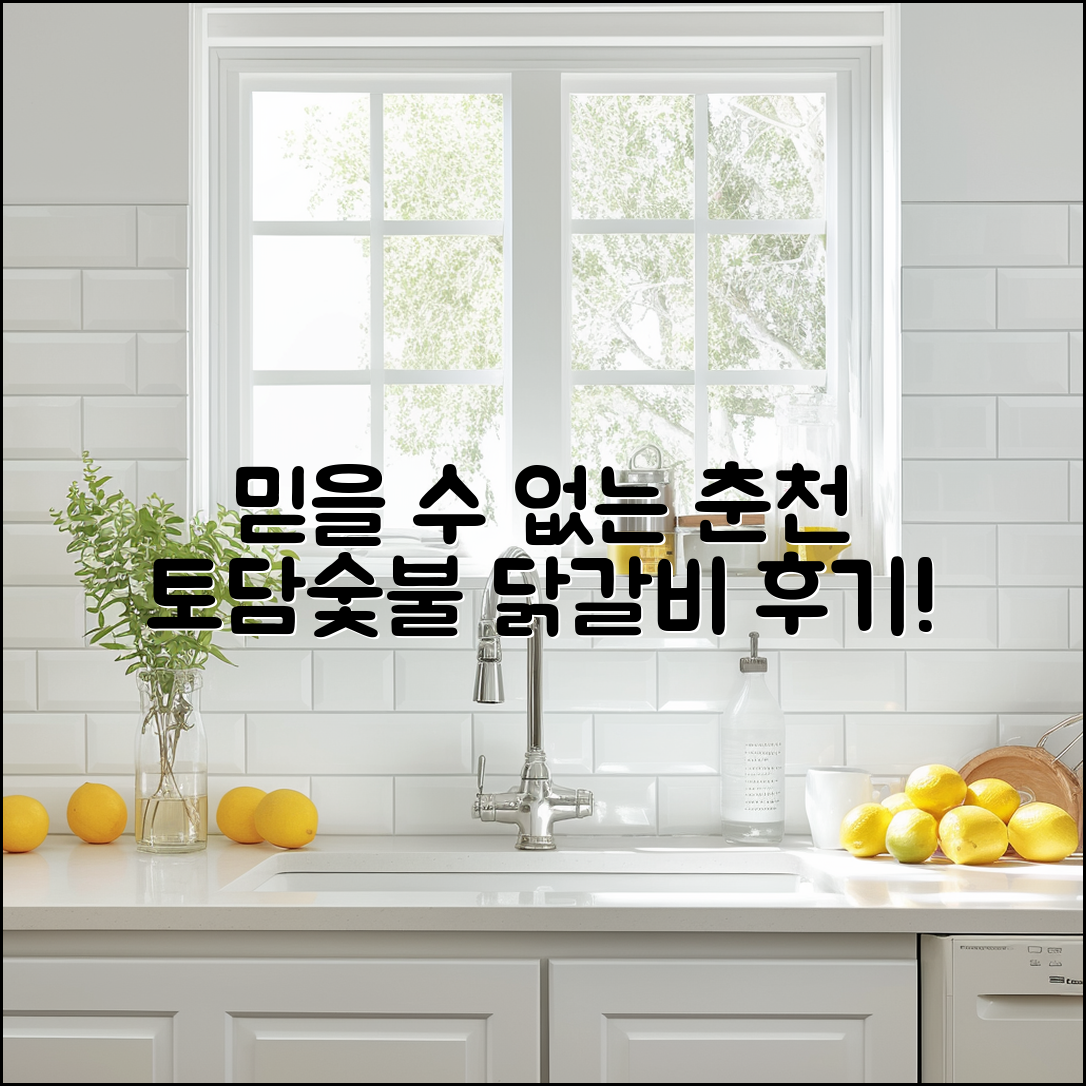 믿을 수 없는 춘천 토담숯불닭갈비 후기