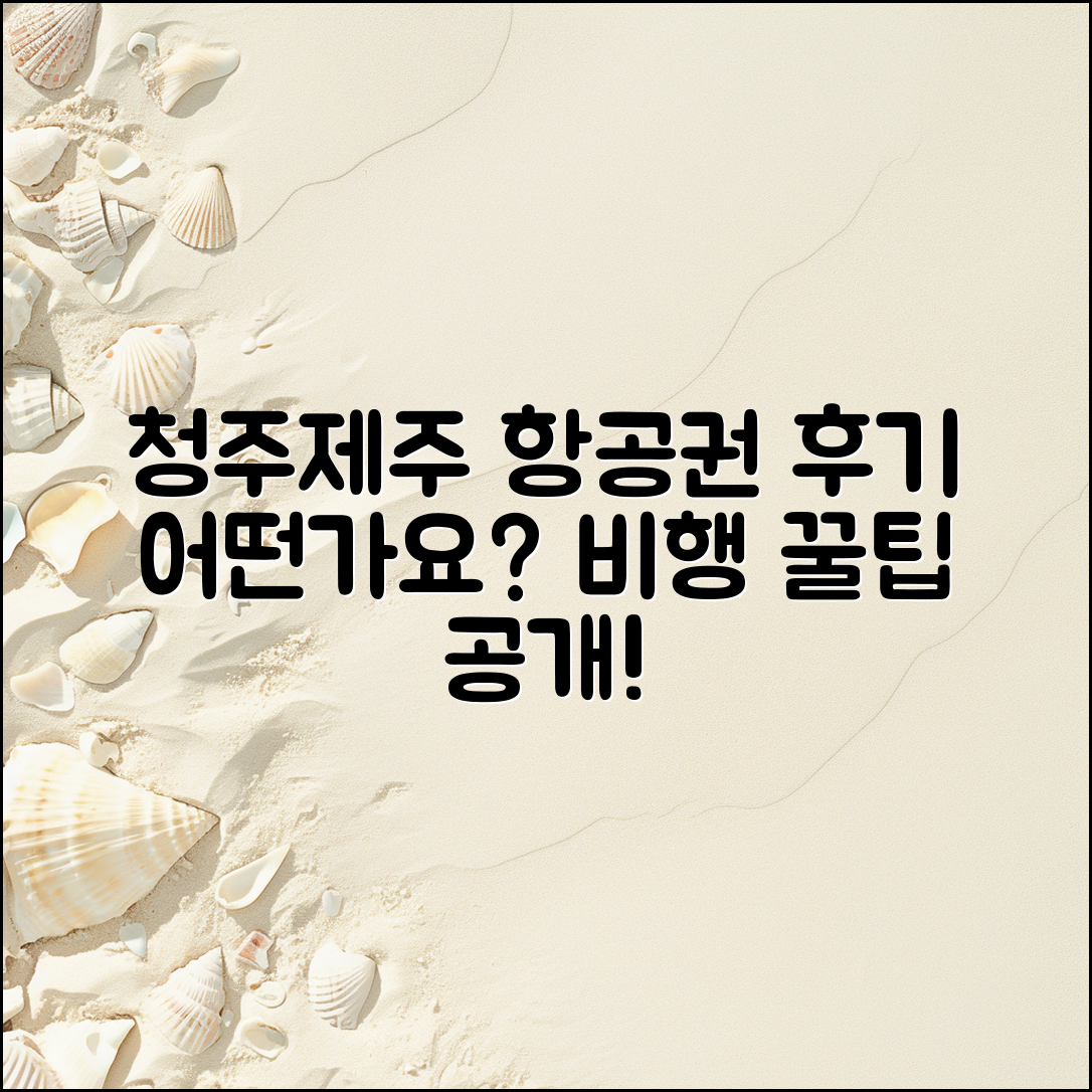 청주에서 제주 도 항공권 후기, 어떤가요?