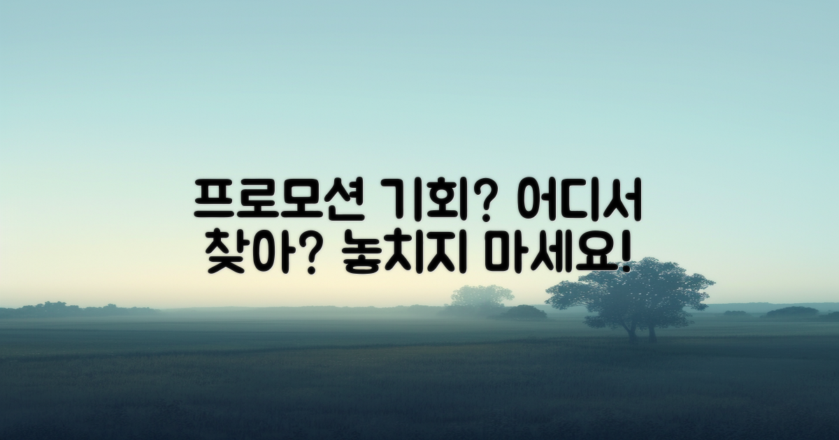 프로모션 기회는 어디에?