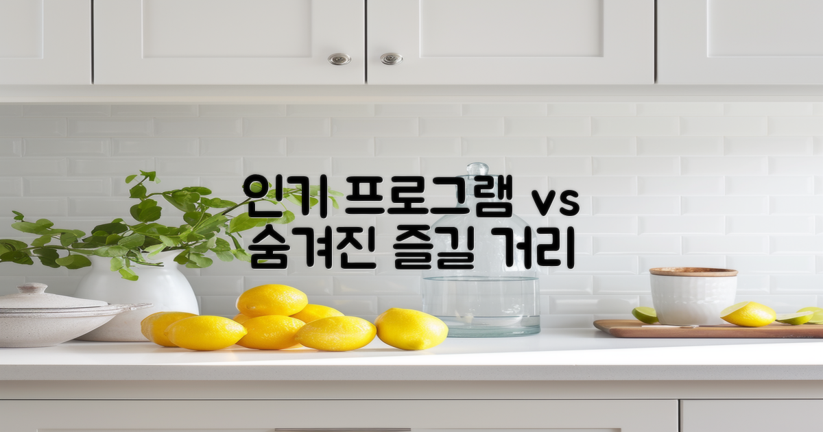 인기 프로그램 vs 숨겨진 즐길 거리