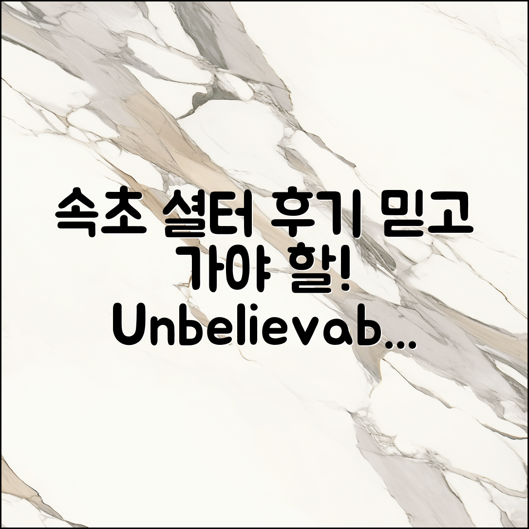 믿을 수 없는 속초 셜터 후기, 꼭 봐야 할 이유!