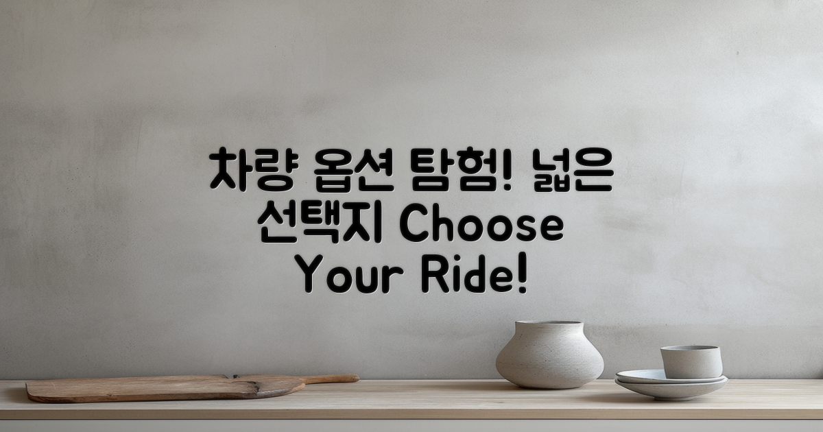 다양한 차량 옵션 소개