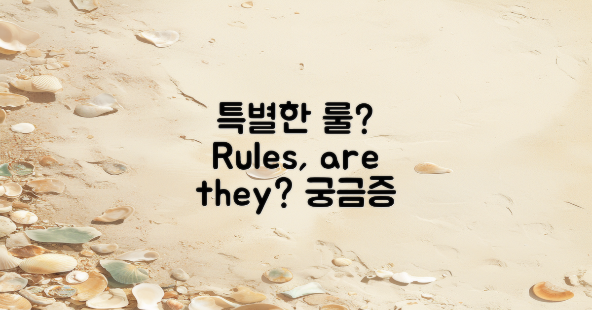특별한 룰이 있을까?