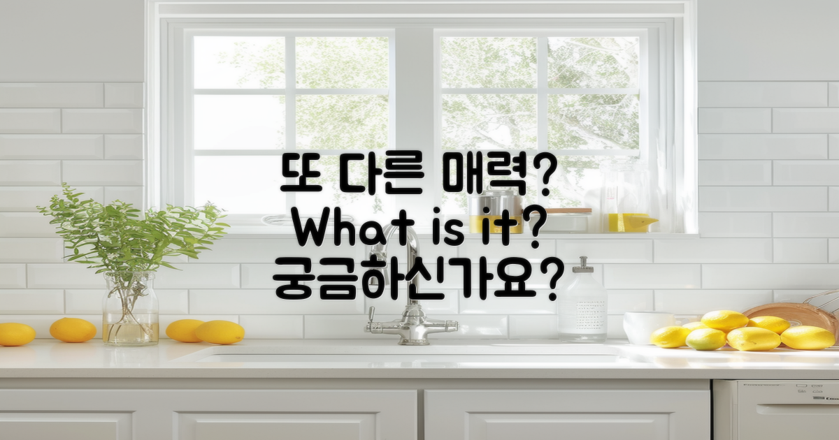 또 다른 매력은 무엇일까?