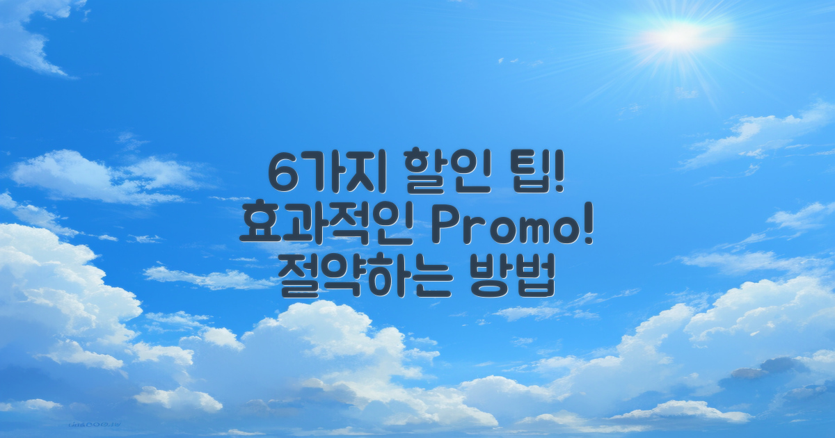 6가지 할인 프로모션 비용