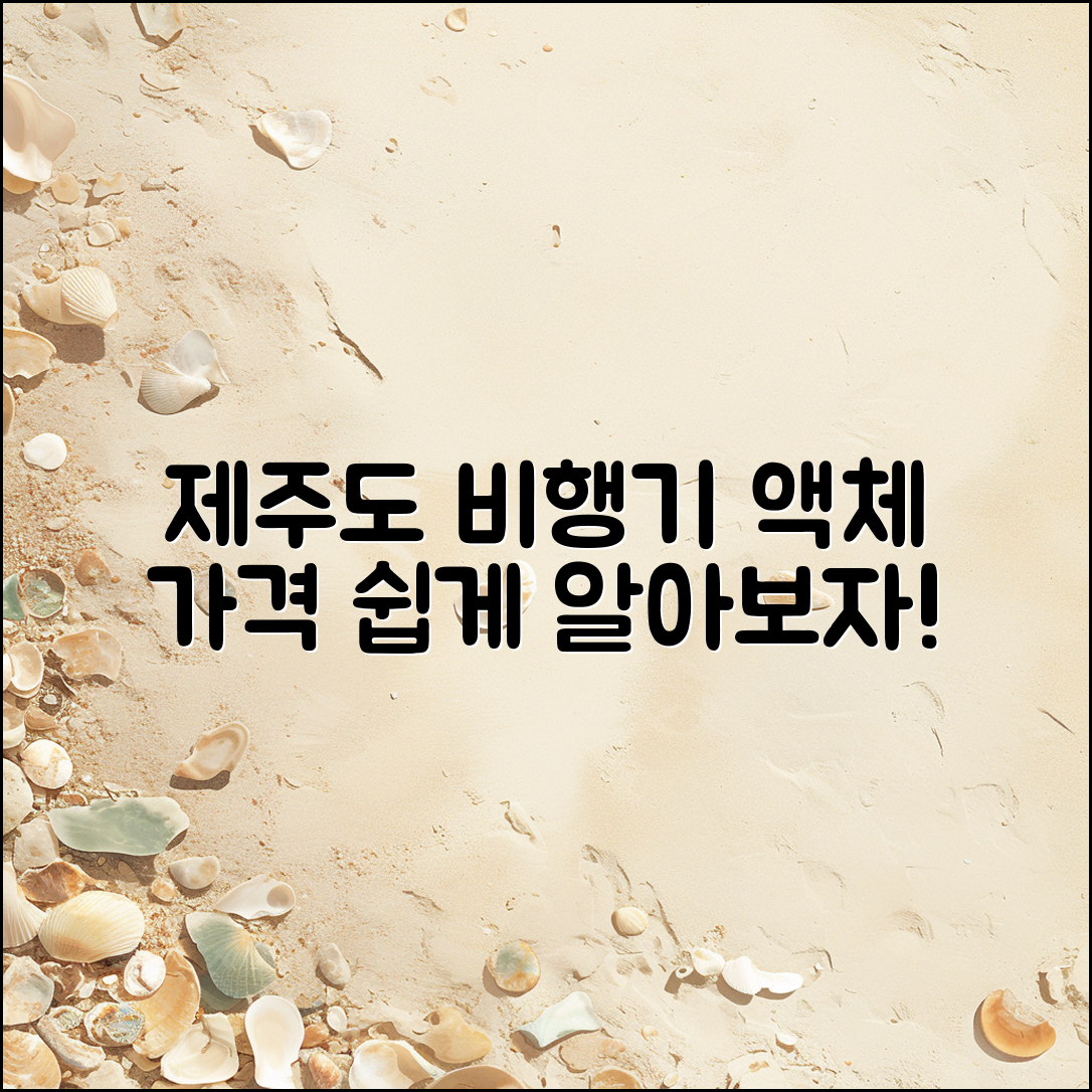 누구나 쉽게 알아보는 제주도 비행기 액체 가격