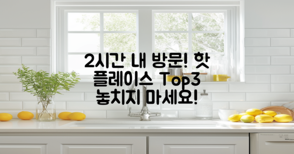 2시간 내 방문 명소