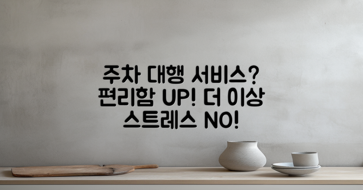 자동차 주차 대행 서비스란?