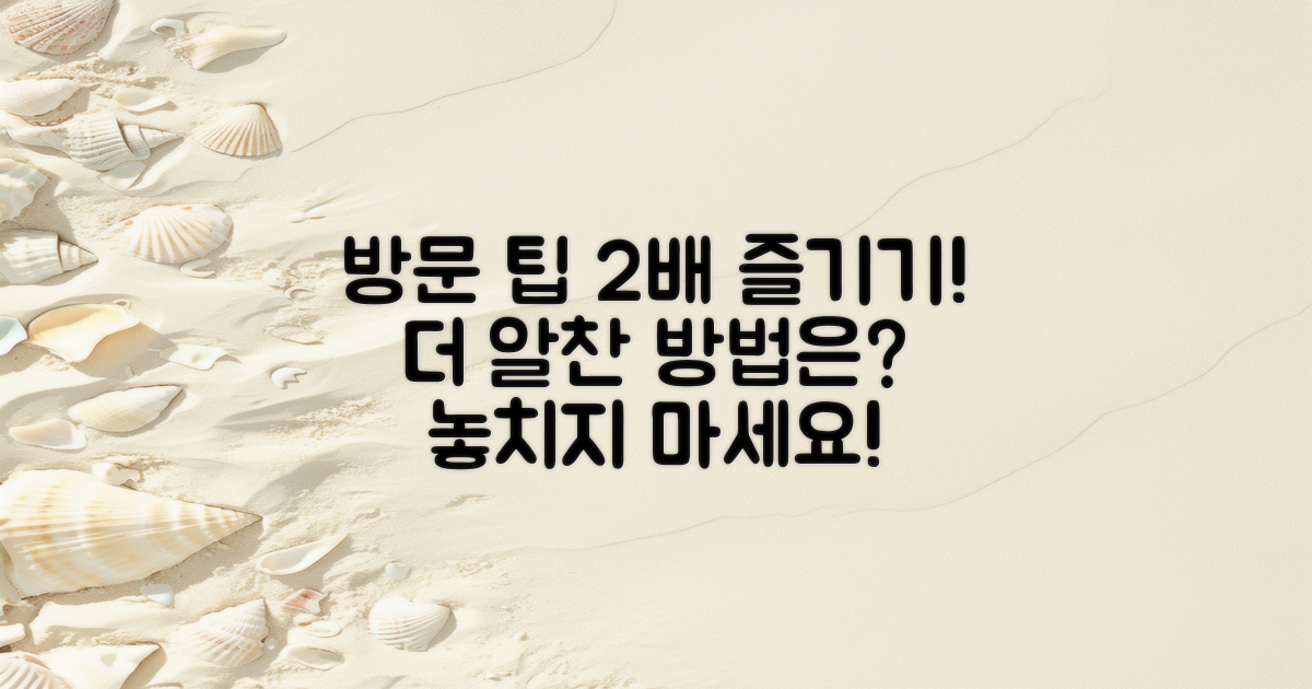 2배 더 즐기는 방문 팁