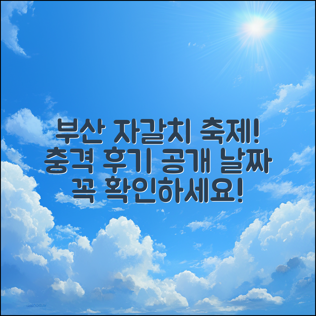 충격적인 부산 자갈치 축제 후기와 날짜!