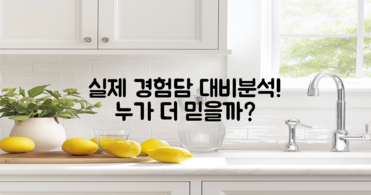 실제 경험담 대 비교