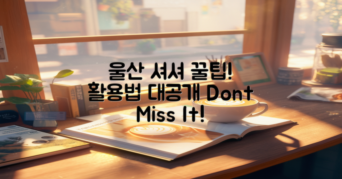 울산 셔셔 활용하는 꿀팁 공개!