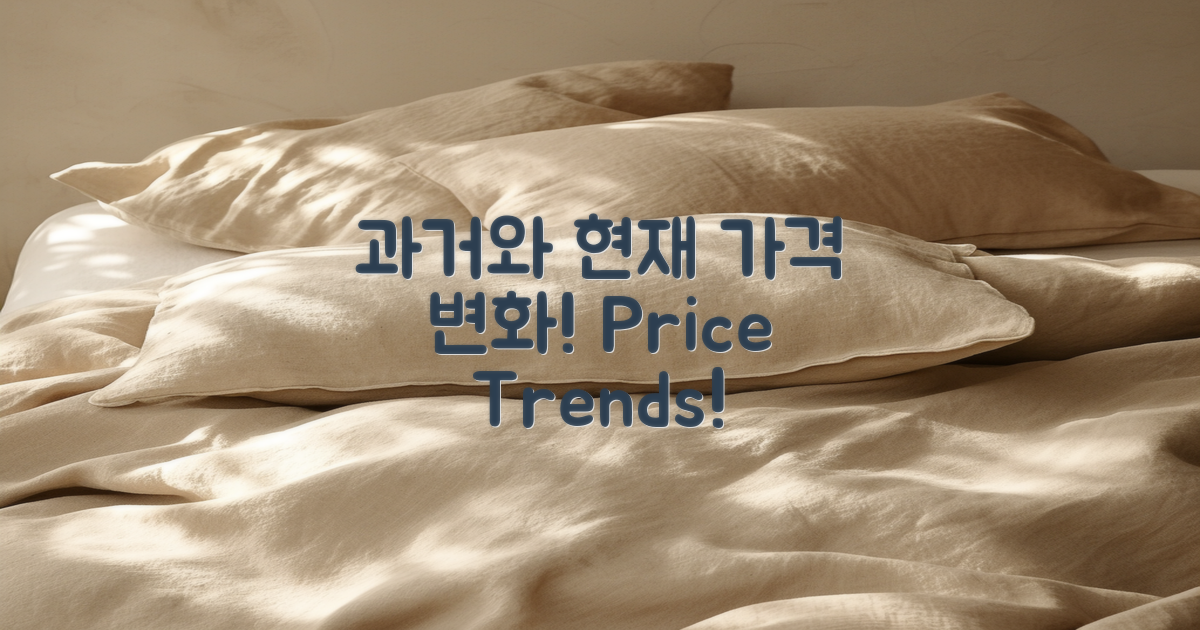 과거와 현재 가격 변화