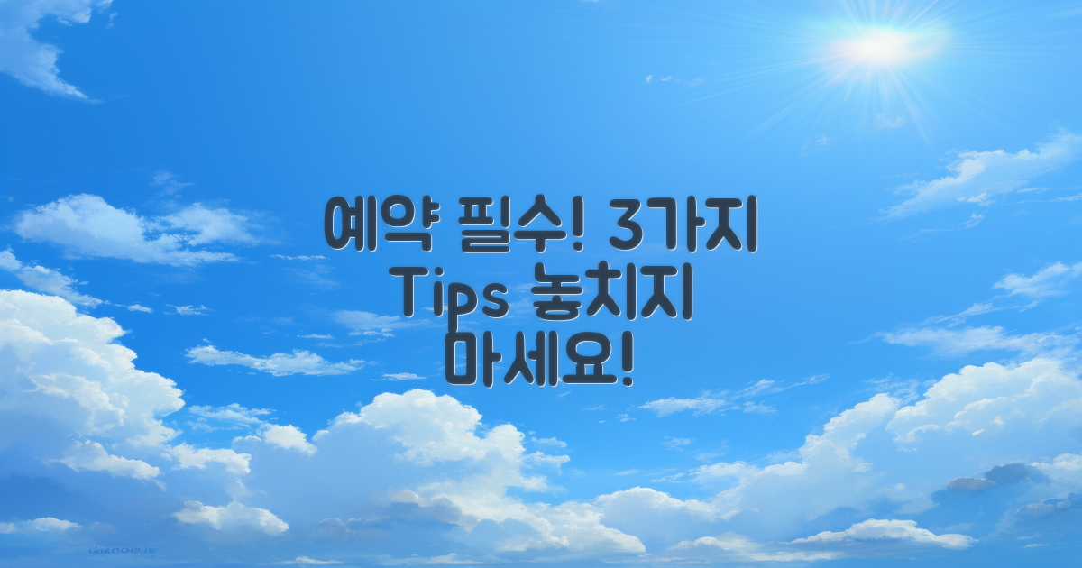 3가지 예약 필수 팁